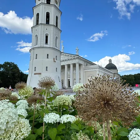 Heart Of Vilnius With Little Spa Extérieur photo