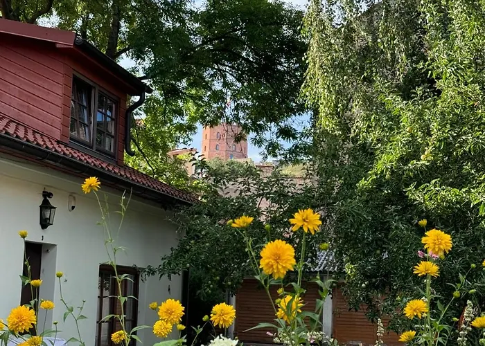 Heart Of Vilnius With Little Spa
