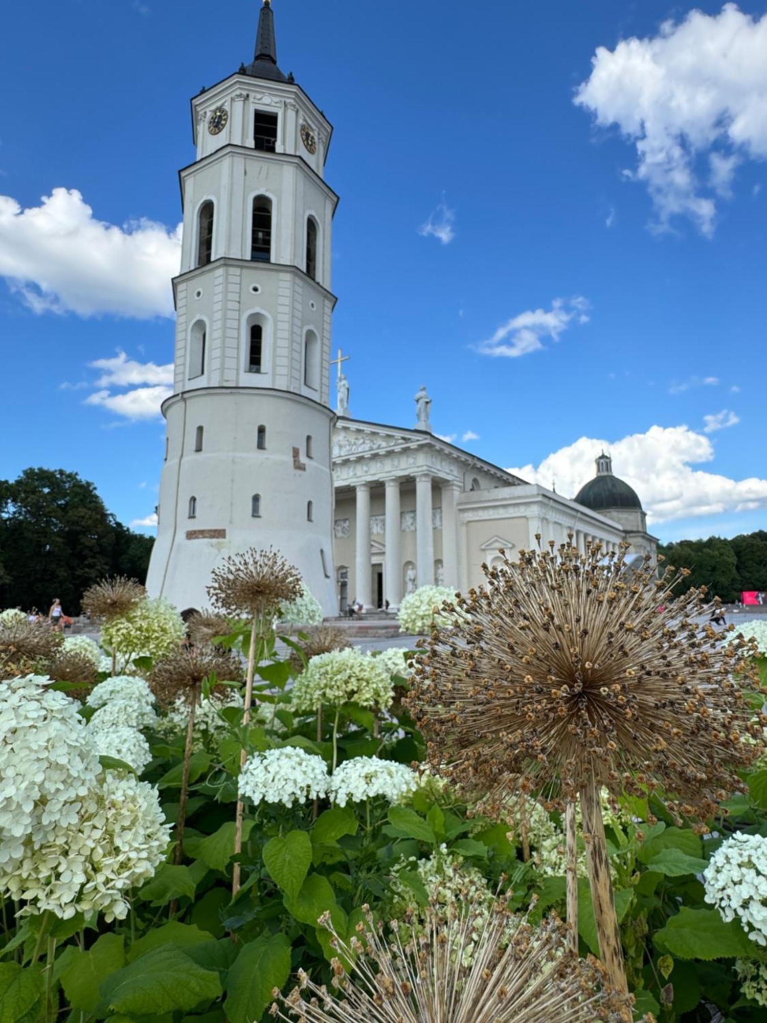 Heart Of With Little * Vilnius